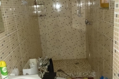 Shower_WC (Medium)